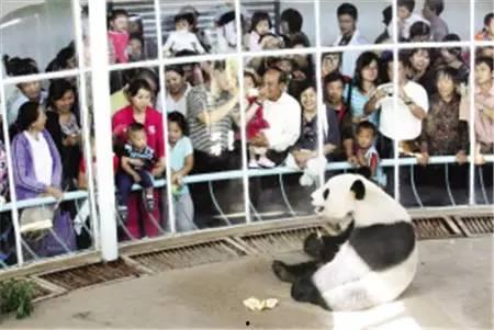 天津动物园爆料视频大全